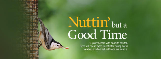 Nuttin' but a Good Time